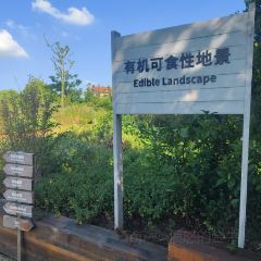 良壤有機莊園張用戶圖片