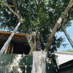 会馆山庄 User Photo