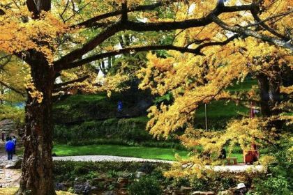 盘州·东湖里·假日酒店(东湖公园银杏广场店)·四季三食