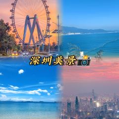 BUFFALO MILK QUEEN SUGAR WATER SHOP User Photo