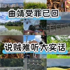 沾益龔氏辣子雞(沾益店)張用戶圖片