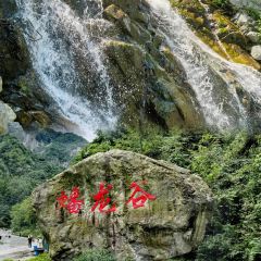 XIEXIAOJIU HOTPOT User Photo