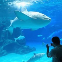 卢布里西餐厅(星海广场店) User Photo