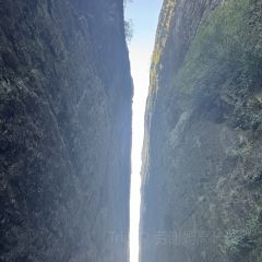 一味仙(新安财富城店) User Photo