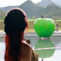 河源春沐源小镇·棕榈树酒店·Papa Razzi西餐厅 User Photo