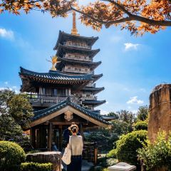 临空假日酒店(赤峰和美建材城玉龙机场店)·早餐厅 여행 사진