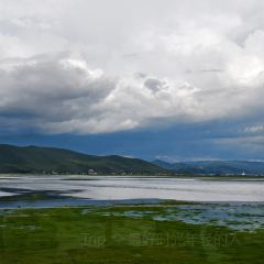 半途而沸 白塔·观景咖啡 User Photo