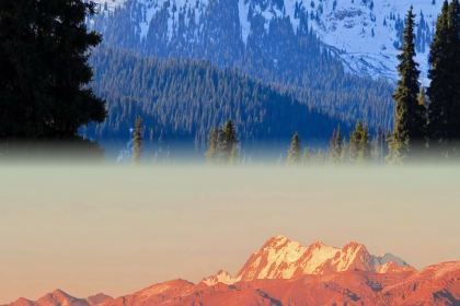 努日曼无花果抓饭快餐(和田街小区店)