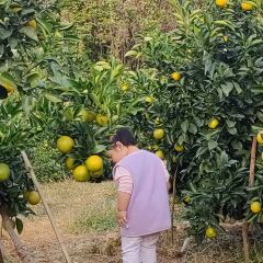 明味生態農莊張用戶圖片