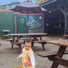 Dinosaur Bar-B-Que張用戶圖片