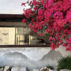 poker face coffee張用戶圖片