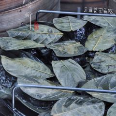 阿婆田艾籺張用戶圖片