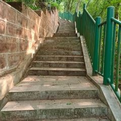 兰溪金熙温泉酒店·墅滋法餐厅 User Photo