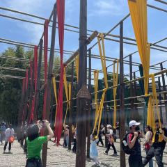 THE FOREST LIVE MUSIC 여행 사진