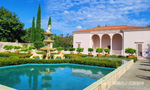 Hamilton Gardens