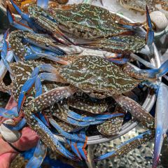 亞馬遜環球海鮮姿造（王府井店）張用戶圖片