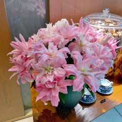 PIN CHINESE CUISINE User Photo