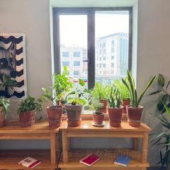 乃屋coffee User Photo