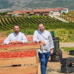 Mrizi i Zanave User Photo