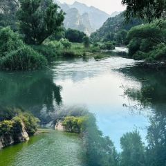 金麦渔村 User Photo