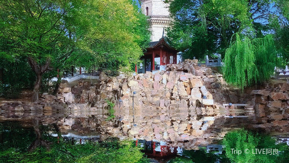 Fuyang