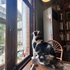 甜豆集 User Photo