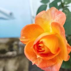 城南小镇 User Photo