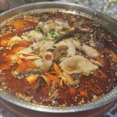 老河邊成都肥腸魚（無錫首店）張用戶圖片