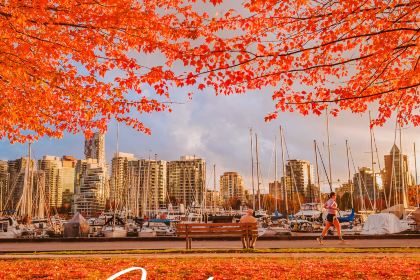 Five Sails Restaurant