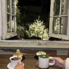 Cooperland User Photo