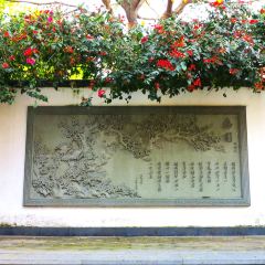 梅园国际大酒店·中餐厅 User Photo