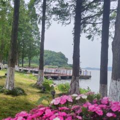 国际湖泊之家 User Photo