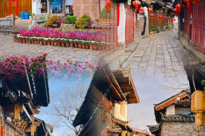 Forest Factory Party