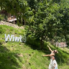 Wiwild逃离计划1·溪谷咖啡(泰顺店) User Photo
