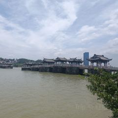 ZHENQIANJIE FERMENTED BEAN CURD CHICKEN WINGS User Photo