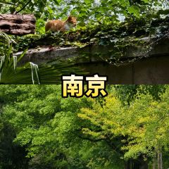 秀嫂撻粿張用戶圖片