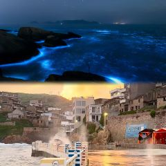 MOLO RESTAURANT User Photo