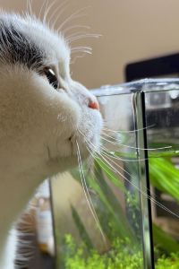 Shishiqi 芒果樹酒店（攀枝花高鐵南站店）優惠