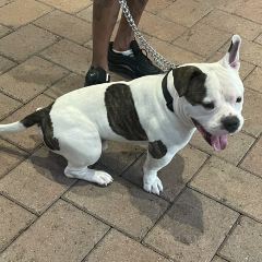 Bubba Gump Shrimp Co User Photo