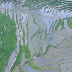 荣村农家乐 User Photo