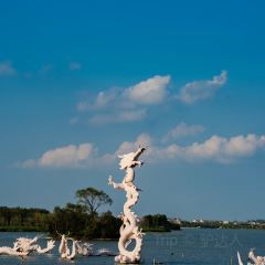 张记逍遥胡辣汤(大坑沿街店) User Photo