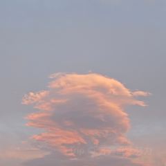 艾沙江达吾提烤包子(新友好美食街店) User Photo