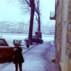 鮮入圍煮張用戶圖片