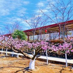 桃花岛农庄 User Photo