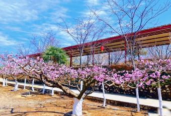 桃花岛农庄 User Photo