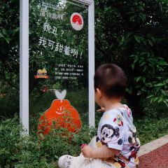 铁牛妈妈的餐厅 User Photo