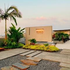 MOREE•莫瑞法式花園（橋東店）張用戶圖片