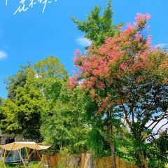 清野小院·私人订制田园餐厅(大邑店) User Photo