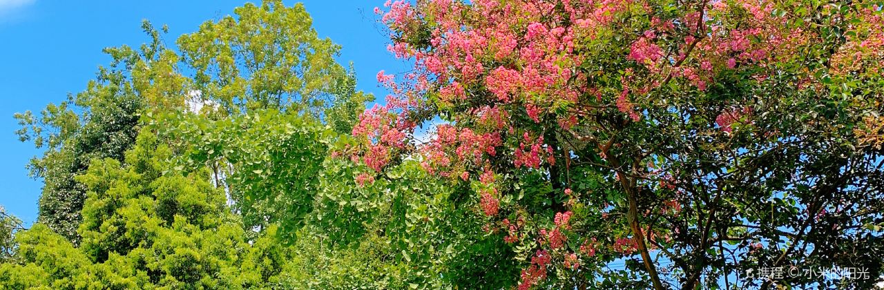 清野小院·私人订制田园餐厅(大邑店)