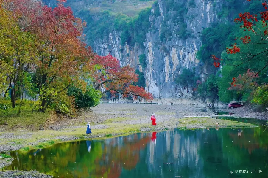 烏桕灘